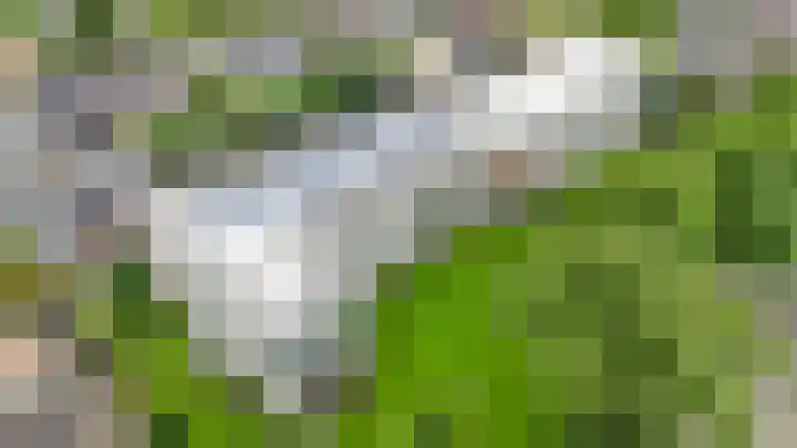 Stationsweg 68 Baarn thumbnail 31
