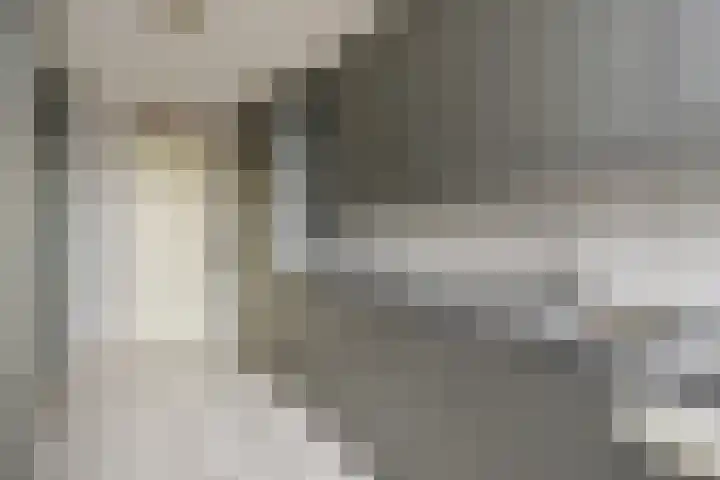 Stationsweg 69 Hoek van Holland thumbnail 18