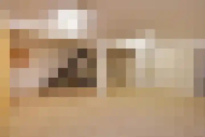 Stationsweg 69 Hoek van Holland thumbnail 21