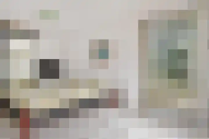 Stationsweg 69 Hoek van Holland thumbnail 29