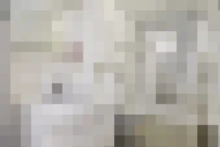 Stationsweg 69 Hoek van Holland thumbnail 34