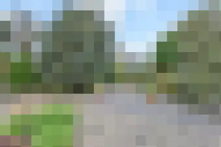 Stationsweg 69 Hoek van Holland thumbnail 41