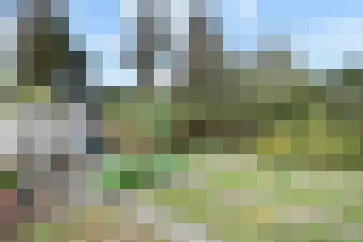 Stationsweg 69 Hoek van Holland thumbnail 42
