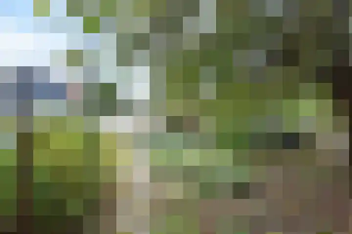 Stationsweg 69 Hoek van Holland thumbnail 43