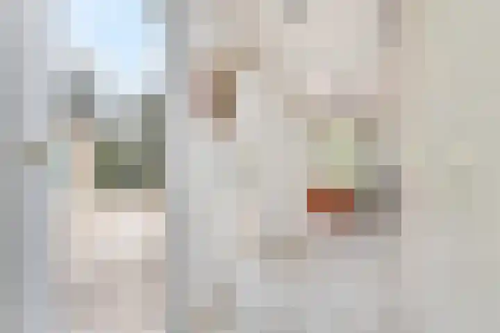Stationsweg 69 Hoek van Holland thumbnail 49