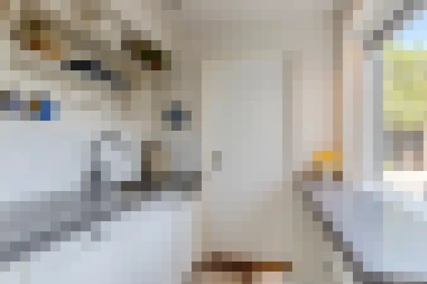 Stationsweg 7 Bodegraven thumbnail 22