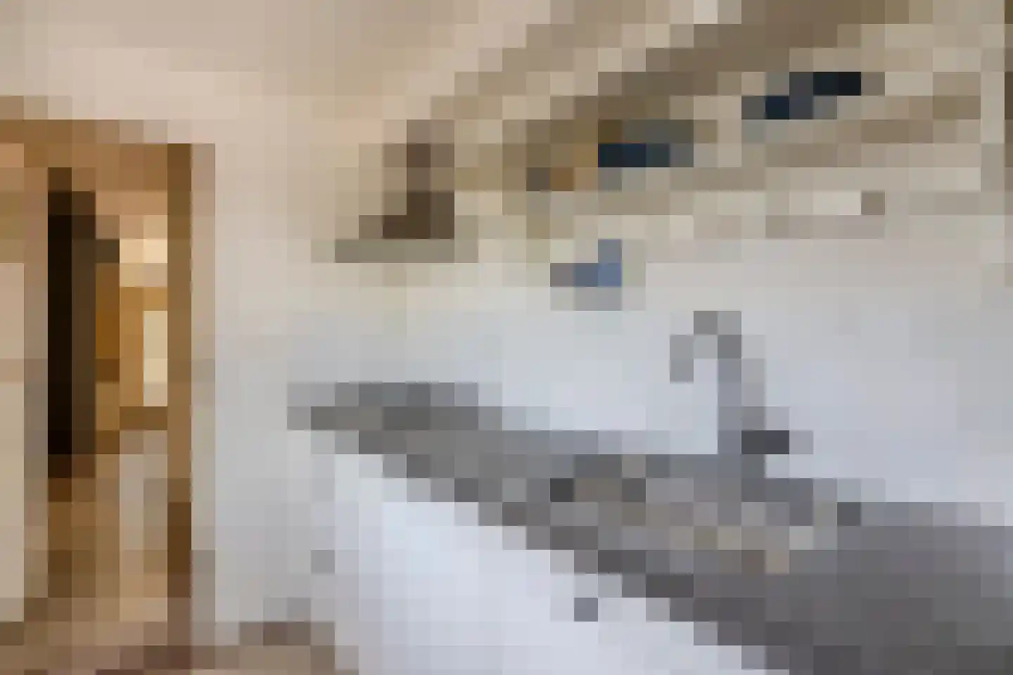 Stationsweg 7 Bodegraven thumbnail 5