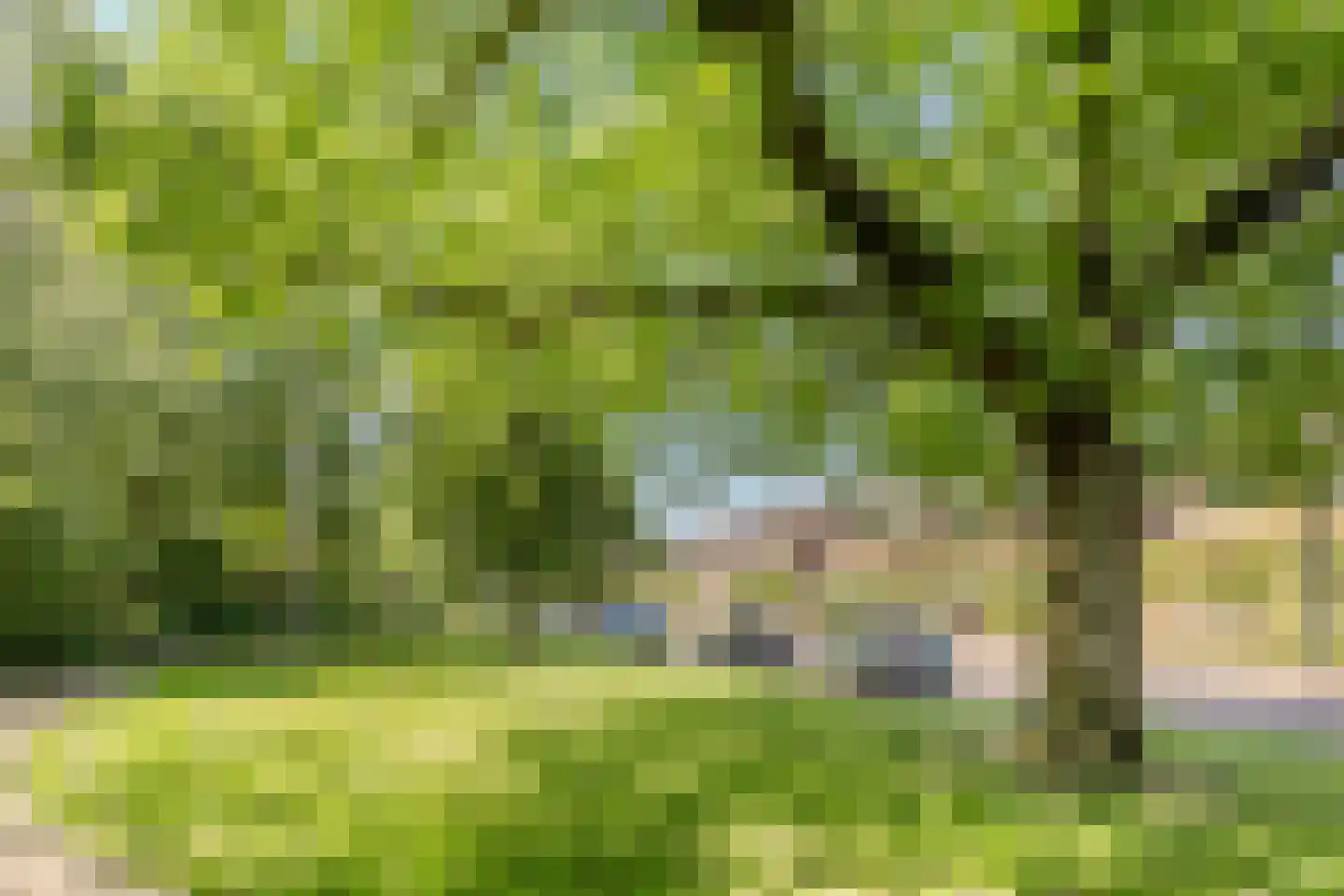 Stationsweg 7 Bodegraven thumbnail 53