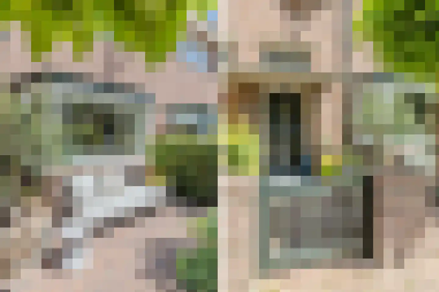 Stationsweg 7 Bodegraven thumbnail 7