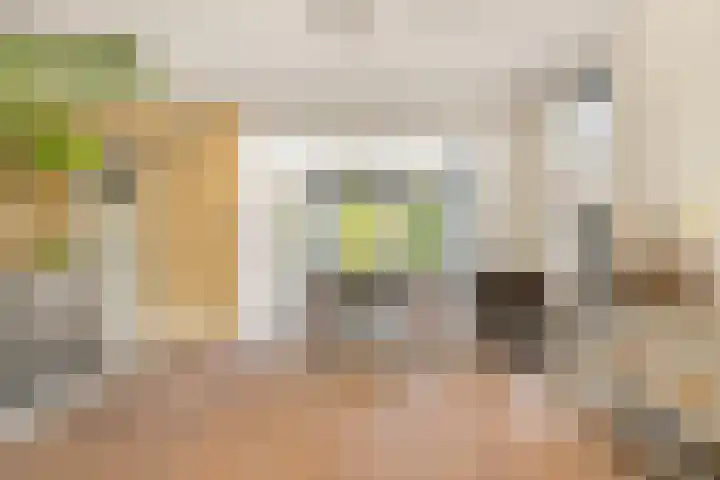 Stationsweg 7 Castricum thumbnail 12
