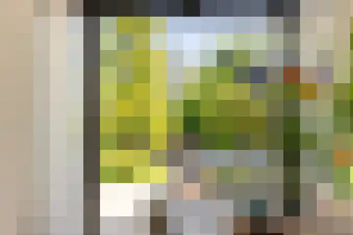Stationsweg 7 Castricum thumbnail 13