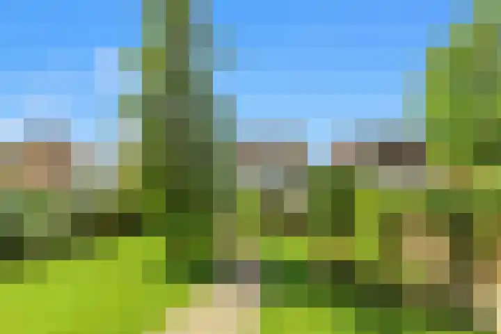 Stationsweg 7 Castricum thumbnail 48