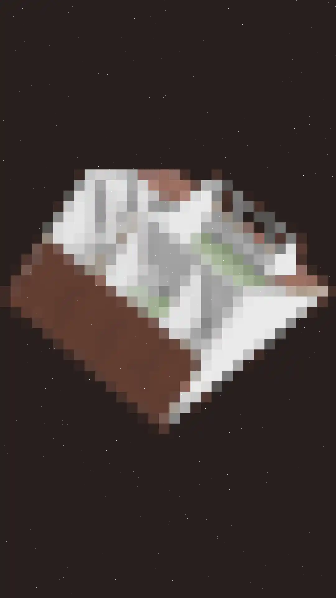 Stationsweg 7 Dirksland thumbnail 32