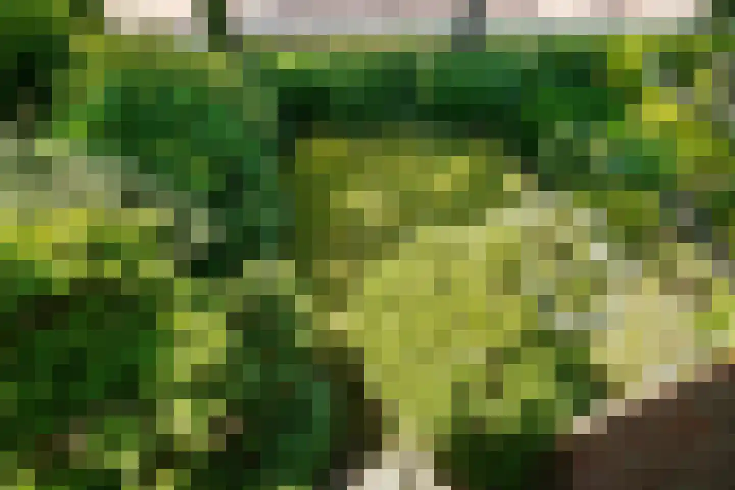 Stationsweg 7 Oosterbeek thumbnail 26