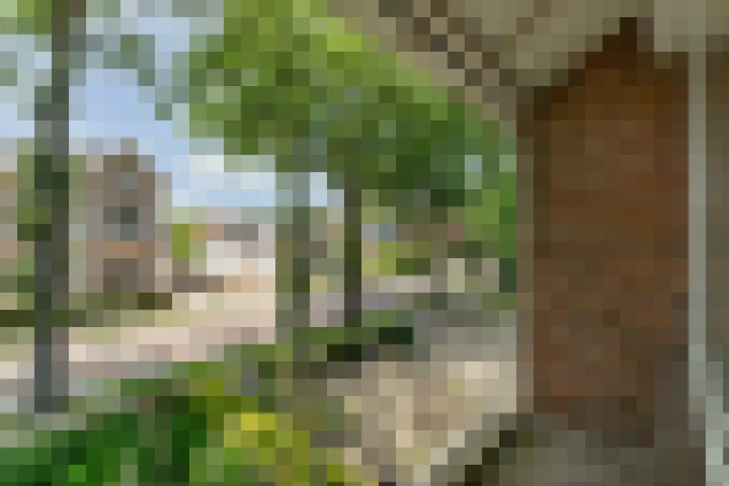Stationsweg 7 Oosterbeek thumbnail 33