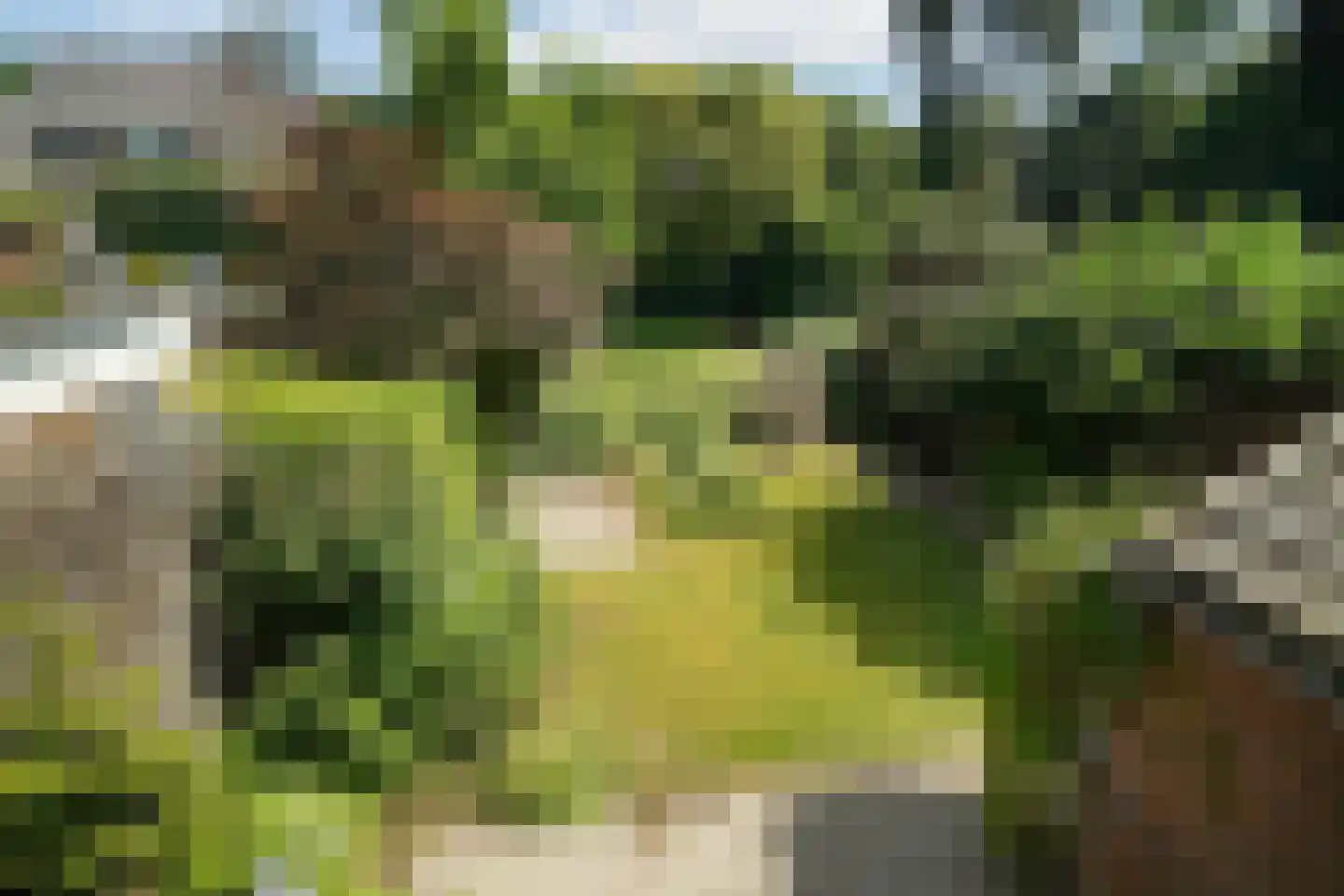 Stationsweg 7 Oosterbeek thumbnail 43