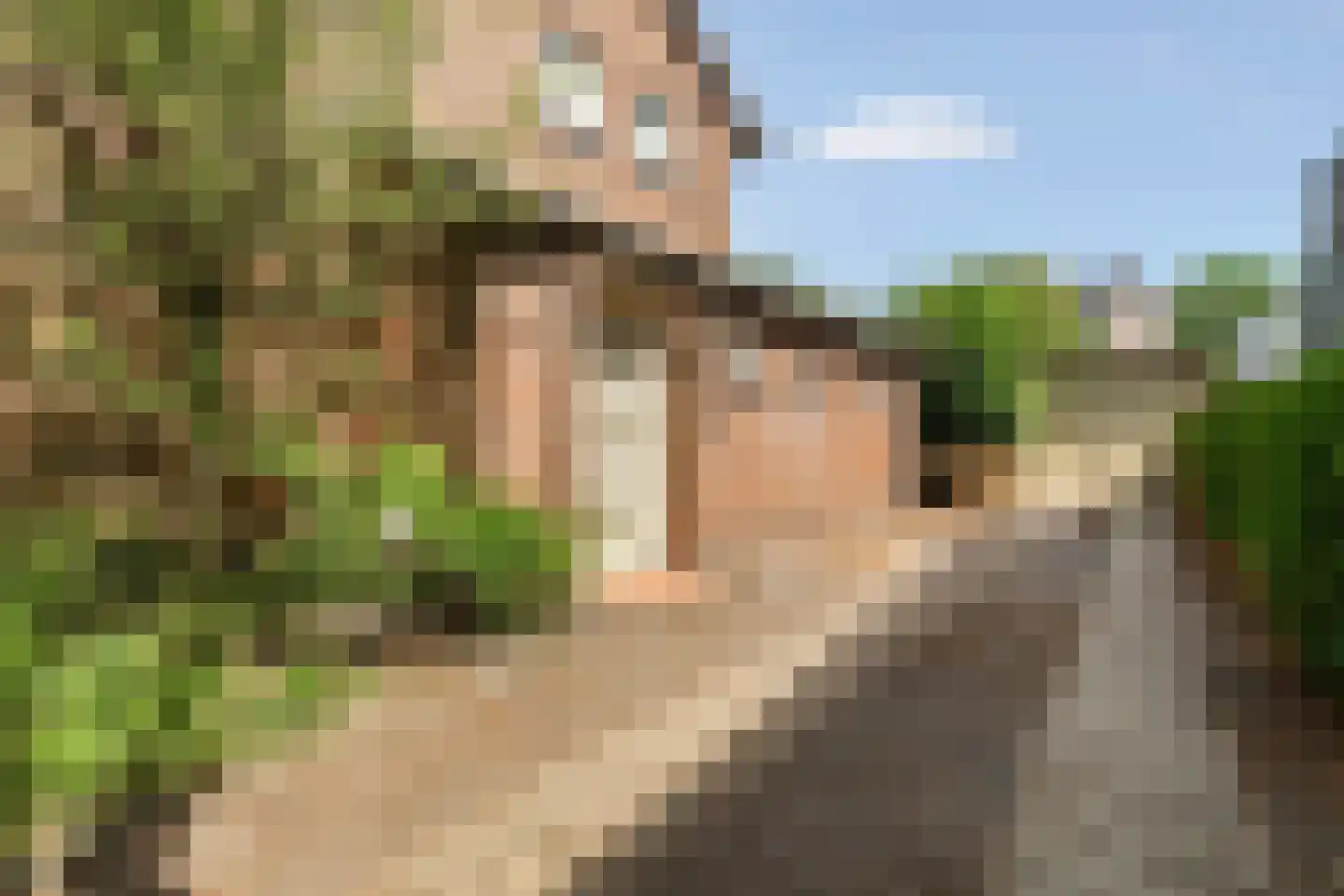 Stationsweg 7 Oosterbeek thumbnail 45