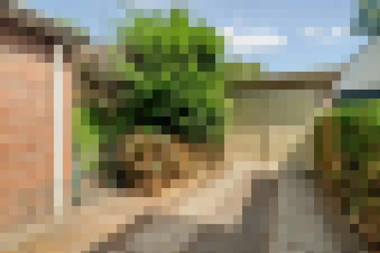 Stationsweg 7 Oosterbeek thumbnail 46