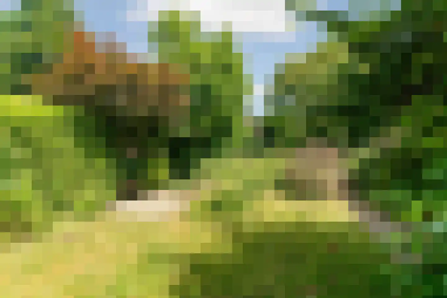 Stationsweg 7 Oosterbeek thumbnail 5