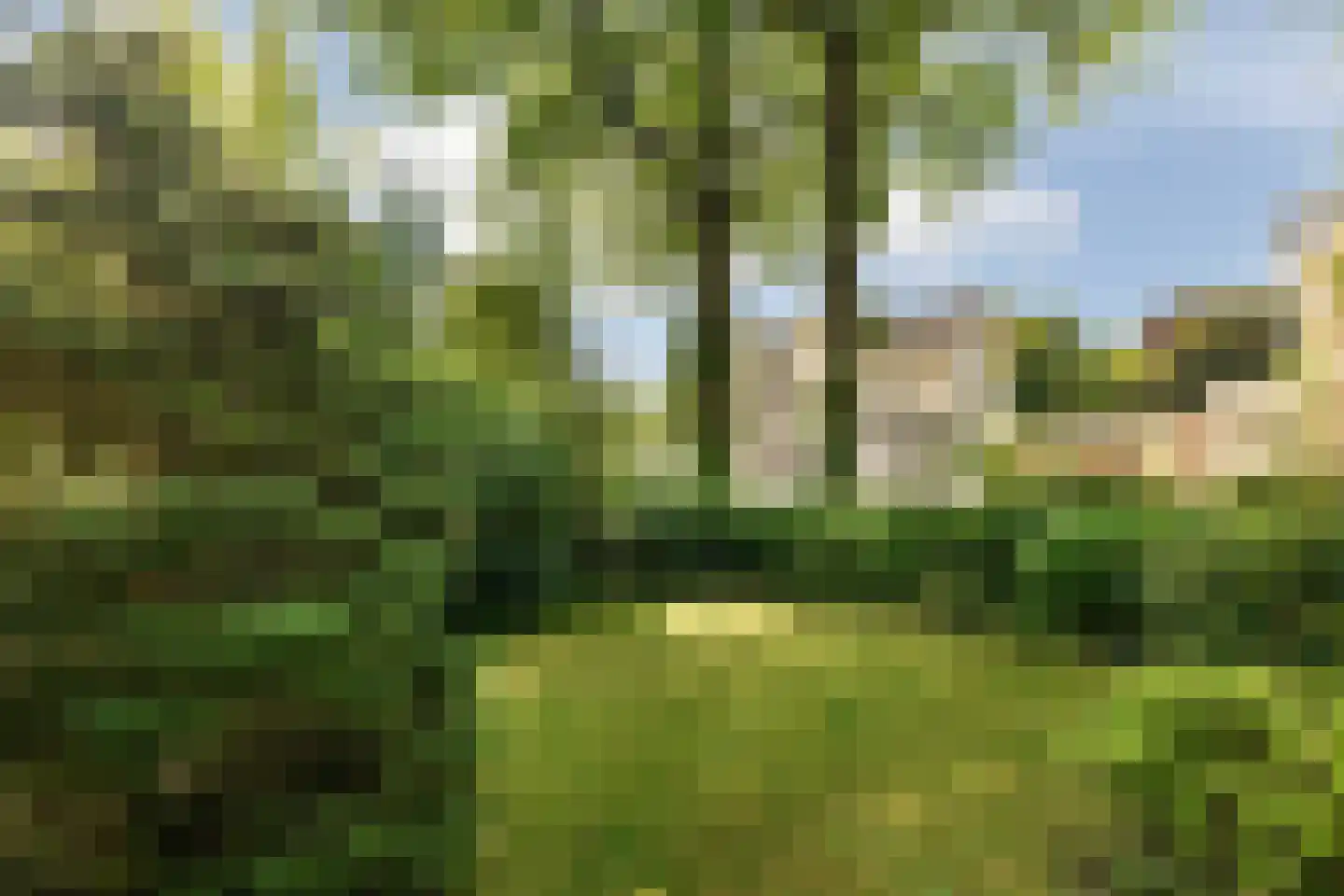 Stationsweg 7 Oosterbeek thumbnail 7