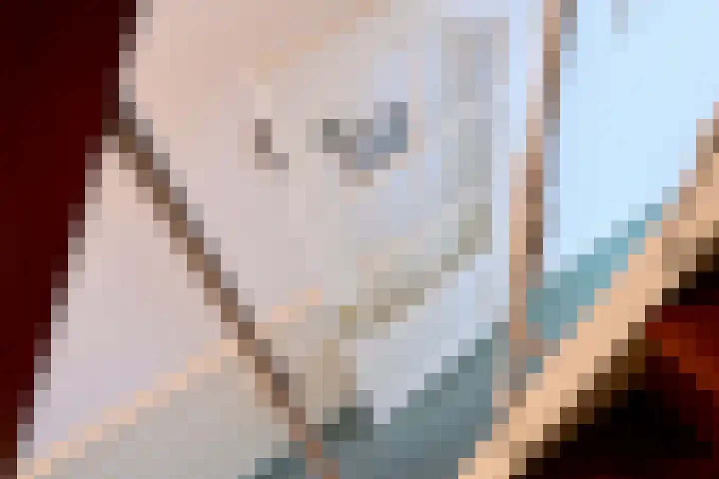 Stationsweg 7 Vorden thumbnail 36