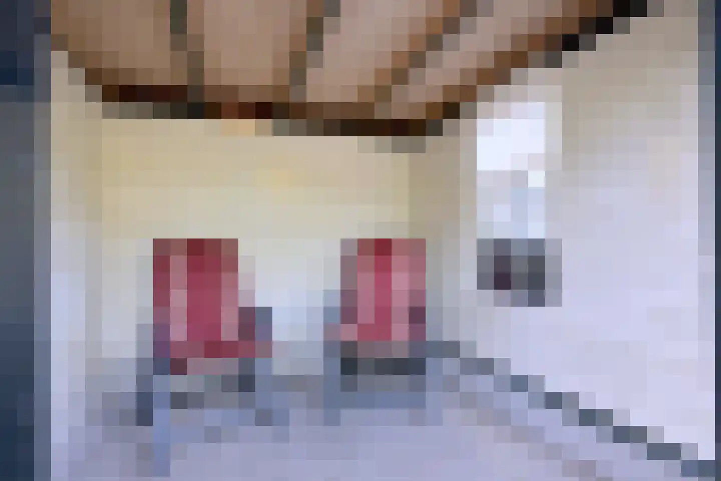 Stationsweg 7 Vorden thumbnail 39
