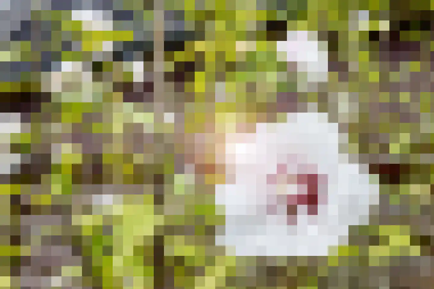 Stationsweg 7 Vorden thumbnail 42