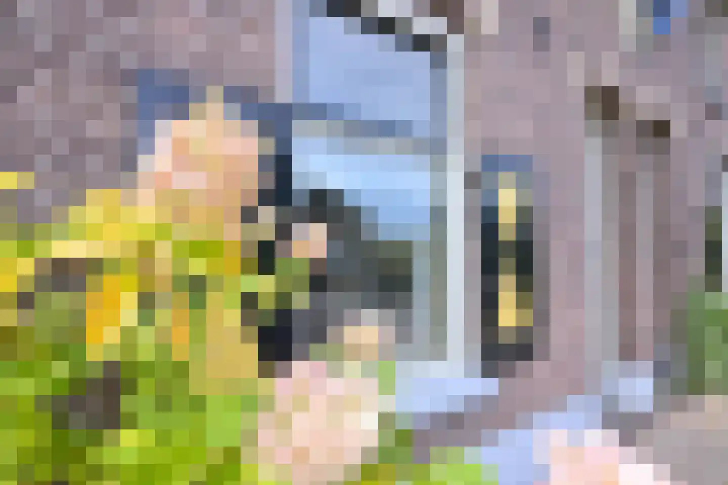 Stationsweg 7 Vorden thumbnail 48