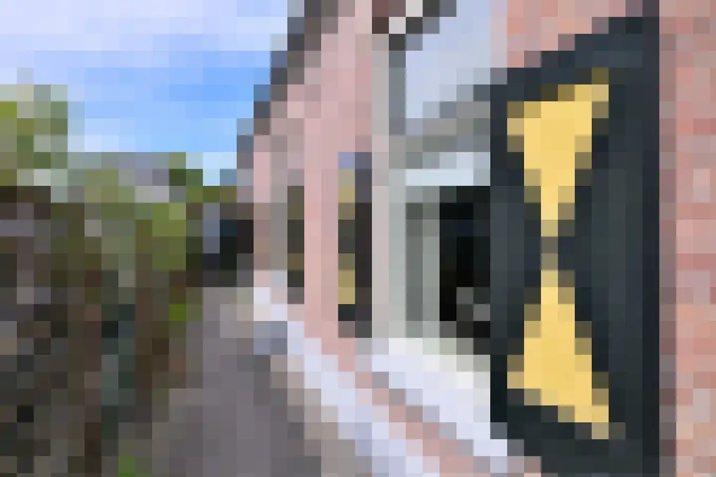 Stationsweg 7 Vorden thumbnail 49