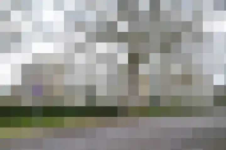 Stationsweg 70 Baarn thumbnail 17