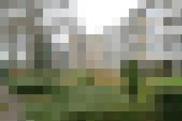 Stationsweg 70 Baarn thumbnail 24