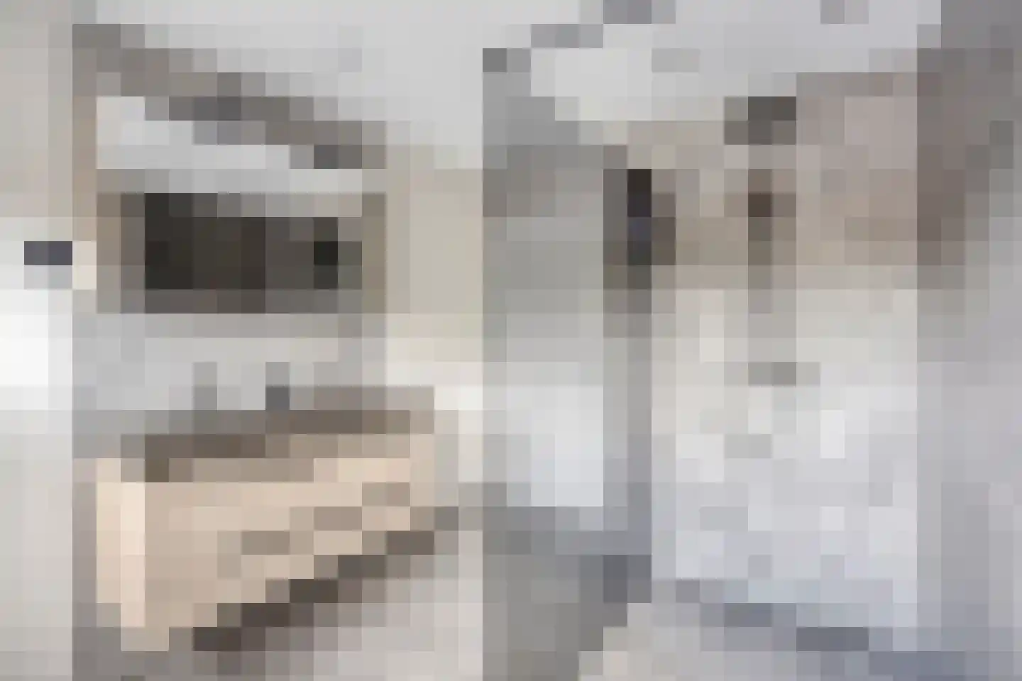 Stationsweg 70 Budel-Dorplein thumbnail 16