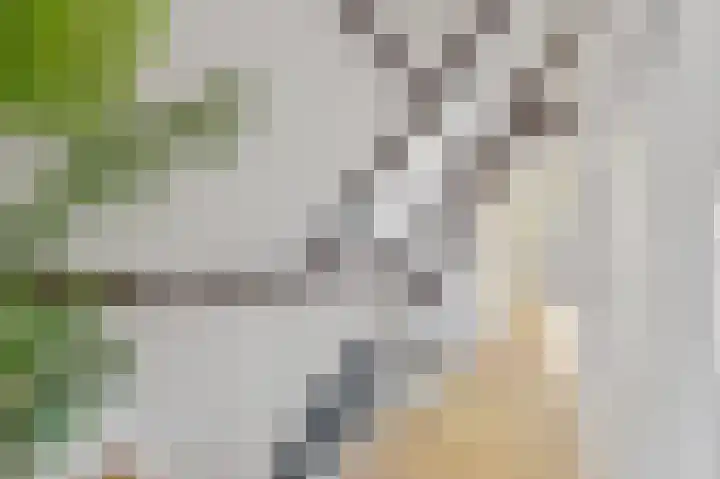 Stationsweg 71 C Den Haag thumbnail 15