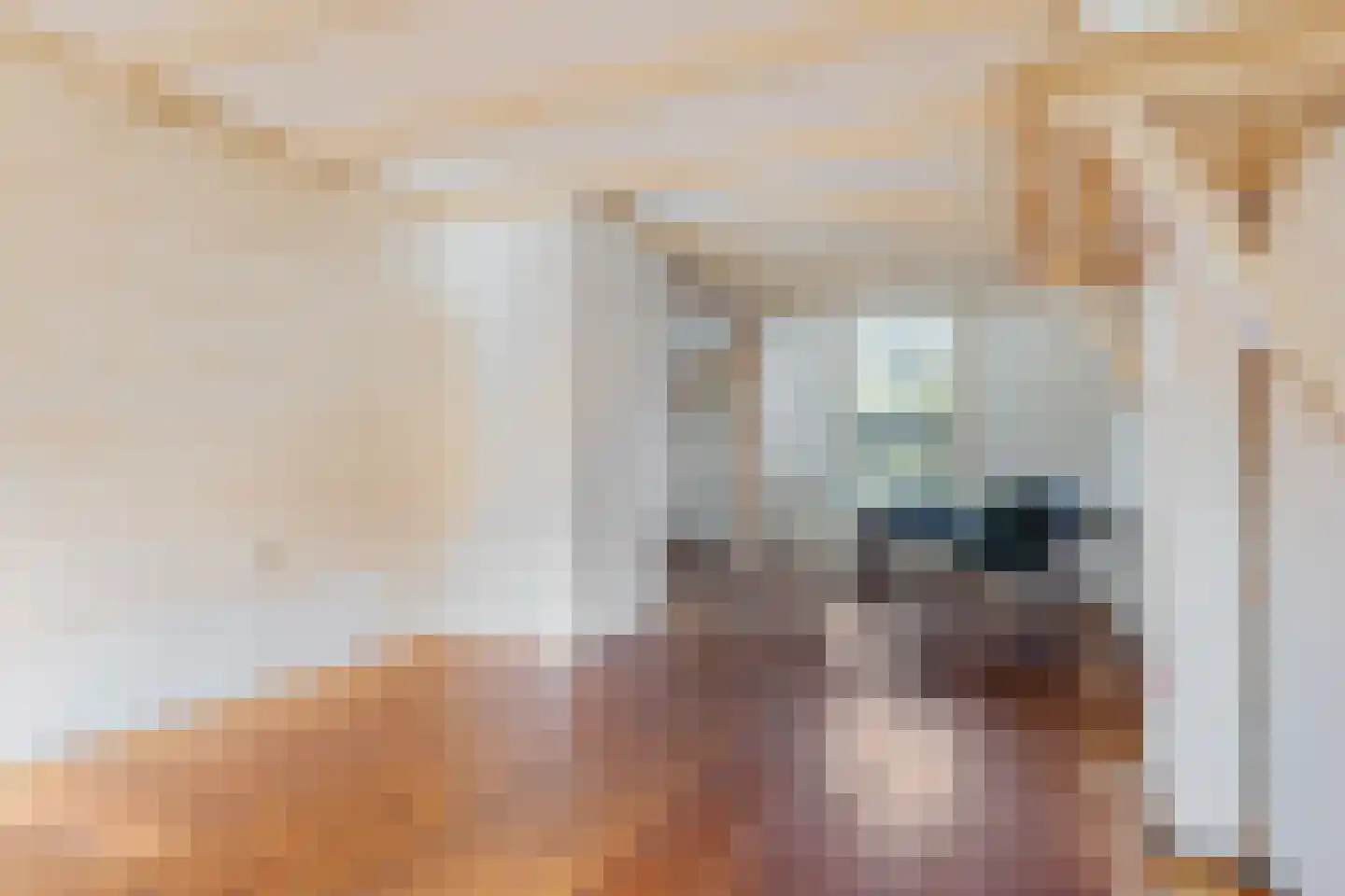 Stationsweg 71 Heiloo thumbnail 10