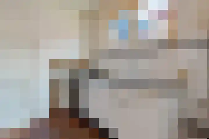 Stationsweg 71 Heiloo thumbnail 18