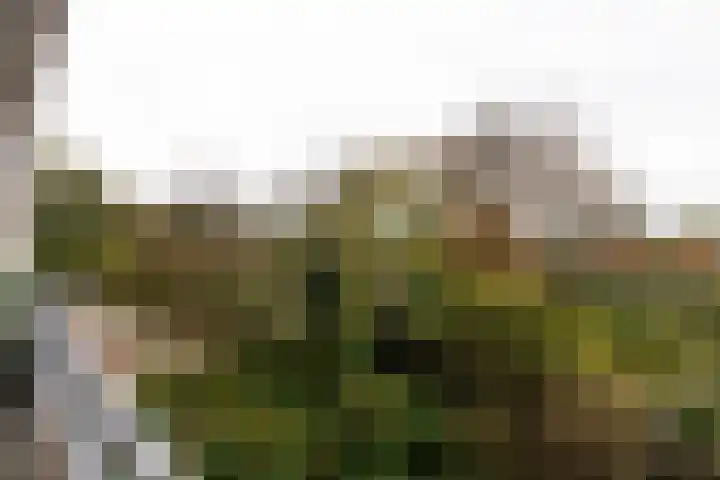 Stationsweg 71 Heiloo thumbnail 22