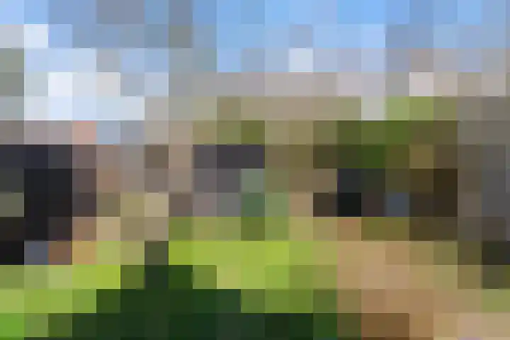 Stationsweg 71 Heiloo thumbnail 26