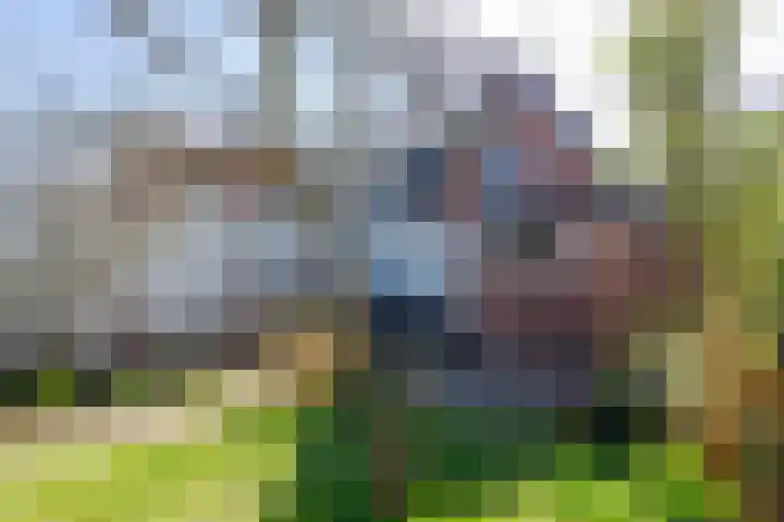 Stationsweg 71 Heiloo thumbnail 31