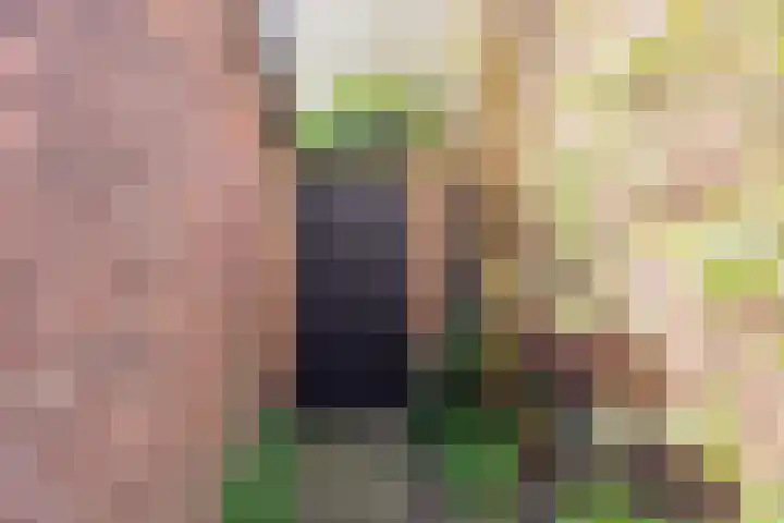 Stationsweg 71 Heiloo thumbnail 32