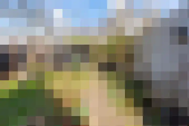 Stationsweg 71 Heiloo thumbnail 4
