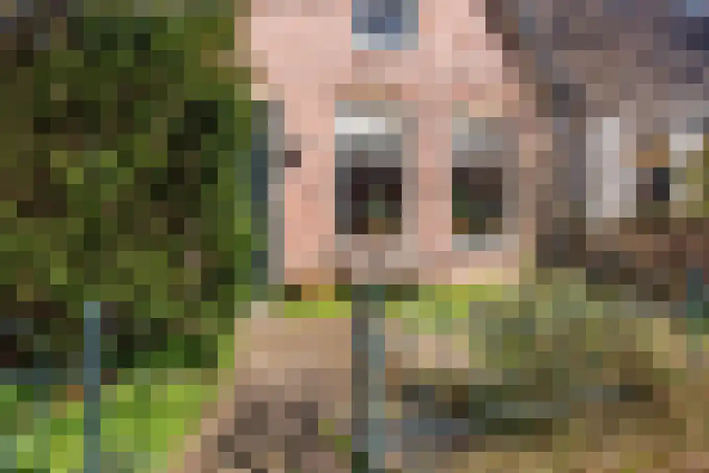 Stationsweg 71 Heiloo thumbnail 7