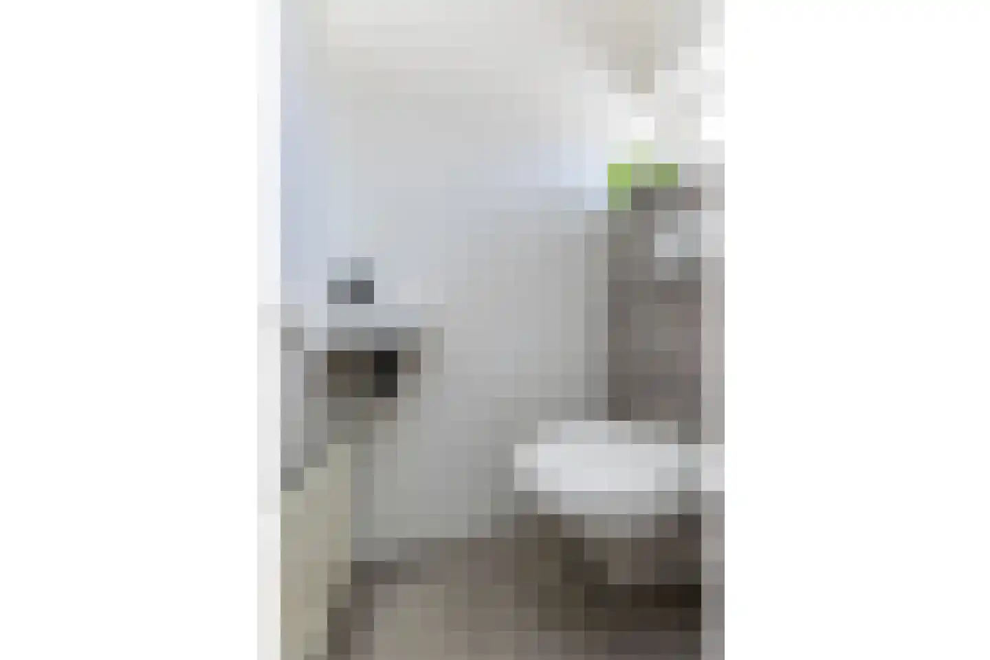 Stationsweg 71 Wezep thumbnail 9