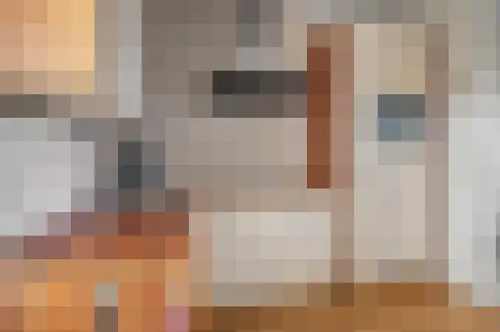 Stationsweg 72 36 Gorredijk thumbnail 36