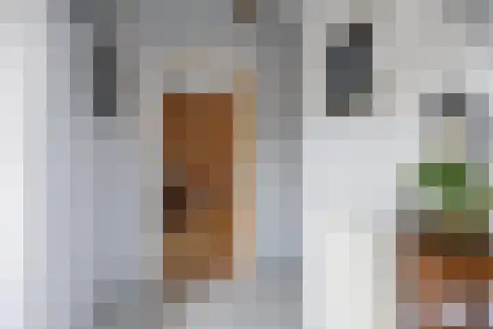 Stationsweg 72 Bedum thumbnail 17