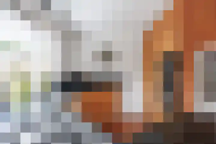 Stationsweg 72 Bedum thumbnail 33