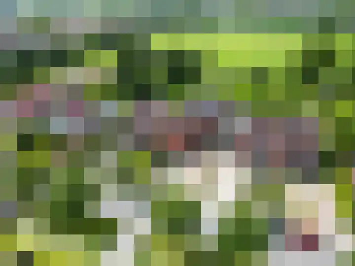 Stationsweg 72 Bedum thumbnail 6