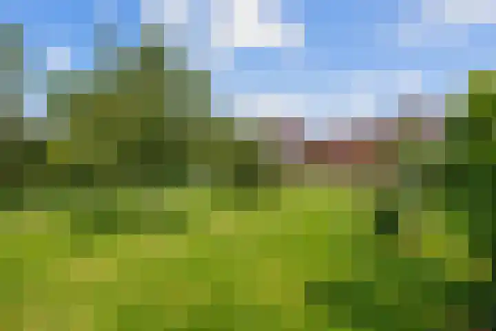 Stationsweg 72 Bedum thumbnail 64