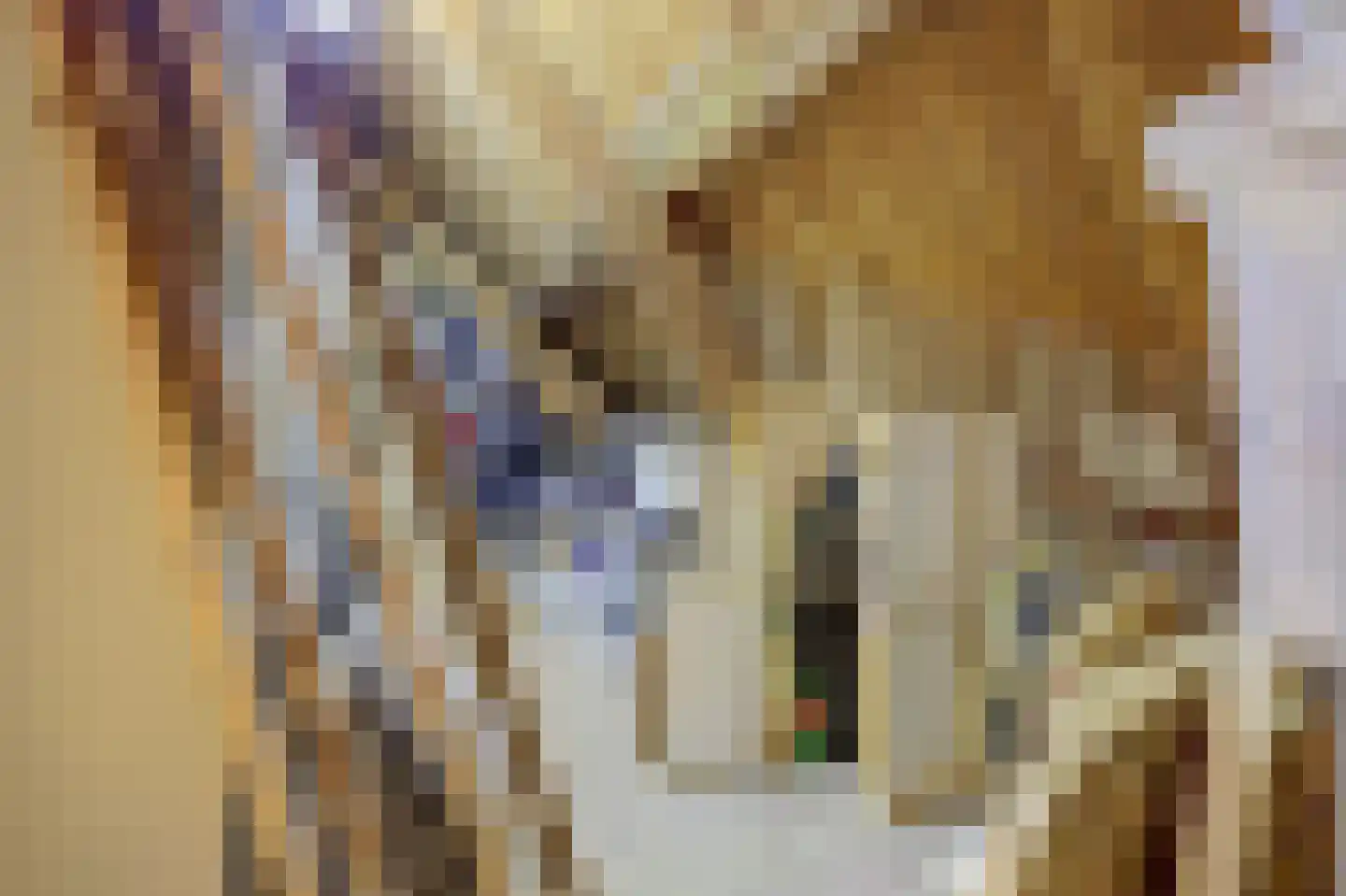 Stationsweg 74 Ede thumbnail 13