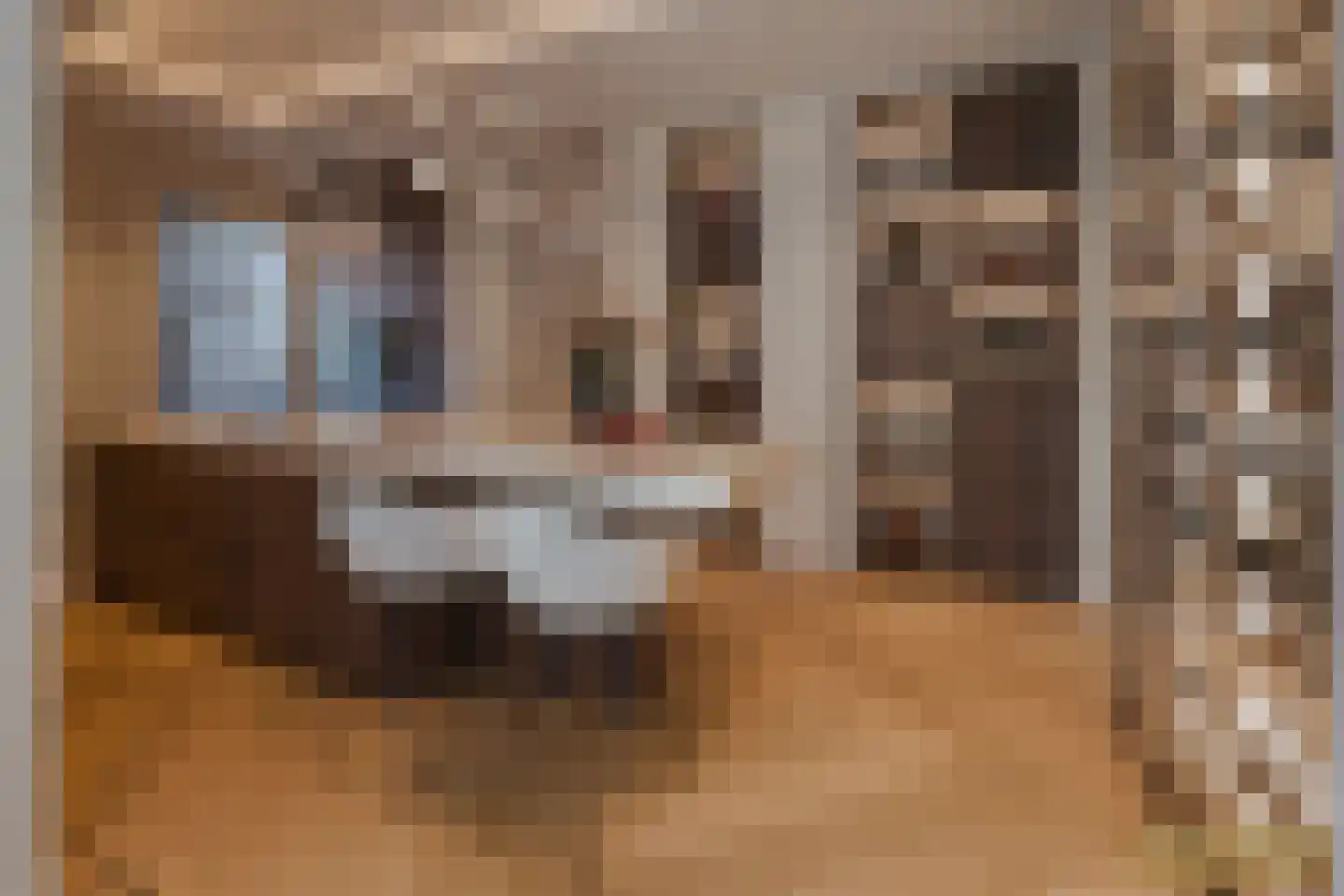 Stationsweg 74 Ede thumbnail 22