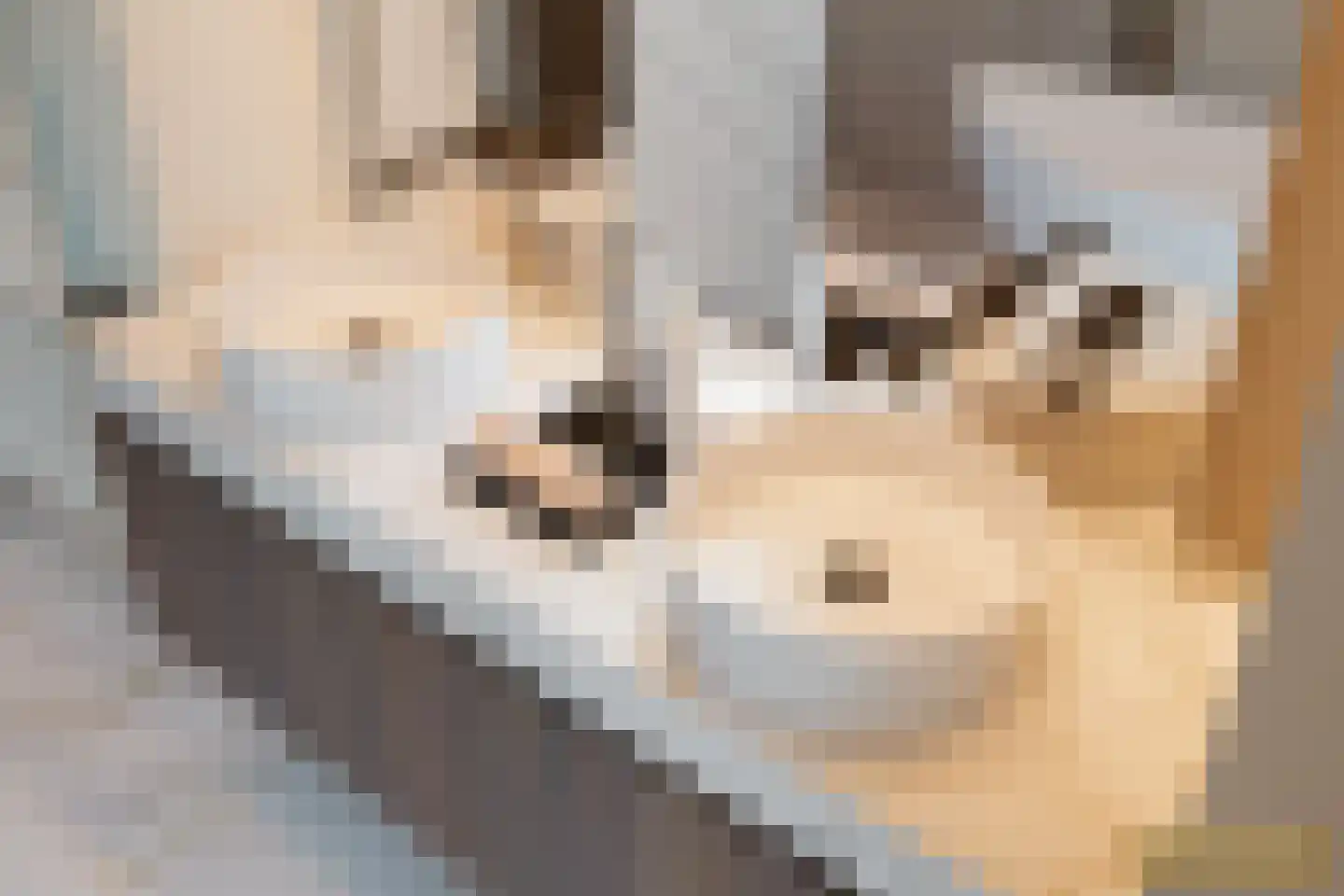 Stationsweg 74 Ede thumbnail 47